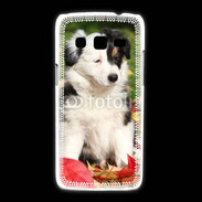 Coque Samsung Galaxy Express2 Adorable chiot Border collie