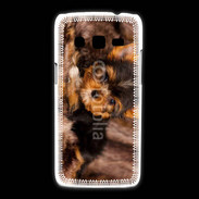 Coque Samsung Galaxy Express2 Chiot Yorkshire 10