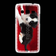 Coque Samsung Galaxy Express2 Chiot noir et blanc 5