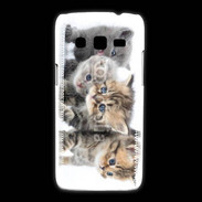 Coque Samsung Galaxy Express2 Groupe de chatons 7