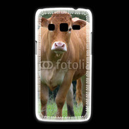 Coque Samsung Galaxy Express2 Vache de race limousine