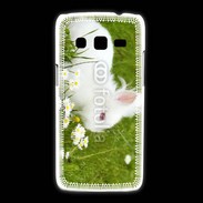 Coque Samsung Galaxy Express2 Lapin blanc dans l'herbe