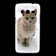 Coque Samsung Galaxy Express2 Chat dans la neige