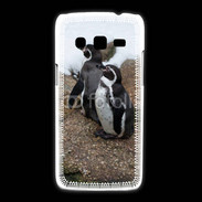 Coque Samsung Galaxy Express2 2 pingouins