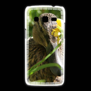 Coque Samsung Galaxy Express2 Canard sauvage PB 1