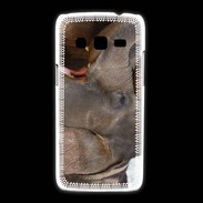 Coque Samsung Galaxy Express2 DP Éléphant 1