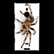 Coque Nokia Lumia 1520 Araignée tarentule