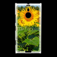 Coque Nokia Lumia 1520 Champs de Tournesol