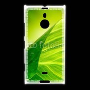 Coque Nokia Lumia 1520 Feuille écologie