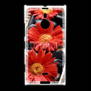 Coque Nokia Lumia 1520 Fleurs Zen rouge 10