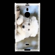 Coque Nokia Lumia 1520 Chiot berger blanc suisse