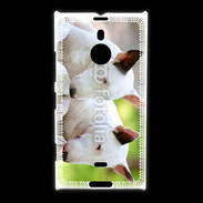 Coque Nokia Lumia 1520 Chien Bull terrier anglais 1