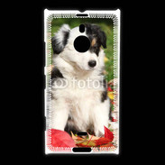 Coque Nokia Lumia 1520 Adorable chiot Border collie