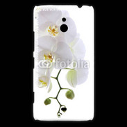 Coque Nokia Lumia 1320 Orchidée blanche