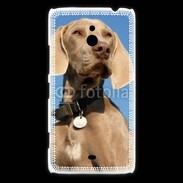 Coque Nokia Lumia 1320 Chien de chasse Braque