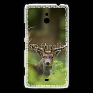 Coque Nokia Lumia 1320 Portrait de Cerf 15