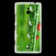 Coque Nokia Lumia 1320 Coccinelle