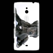 Coque Nokia Lumia 1320 Dogue allemand noir