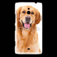 Coque Nokia Lumia 1320 Chien Golden