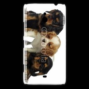 Coque Nokia Lumia 1320 Chiot King Charles