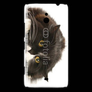 Coque Nokia Lumia 1320 Chat noir et blanc