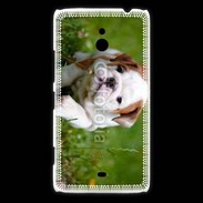 Coque Nokia Lumia 1320 Chiot bulldog anglais 3