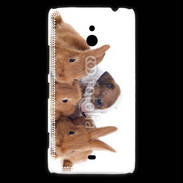Coque Nokia Lumia 1320 Gardien de lapins