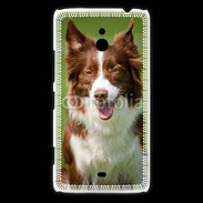Coque Nokia Lumia 1320 Chien Colley marron et blanc