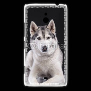 Coque Nokia Lumia 1320 Chien Husky de Sibérie