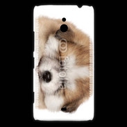 Coque Nokia Lumia 1320 Chiot chien loup 5
