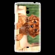 Coque Nokia Lumia 1320 Chiot King Charles 2