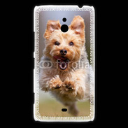 Coque Nokia Lumia 1320 Yorkshire terrier 6