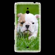 Coque Nokia Lumia 1320 Petit Bulldog anglais
