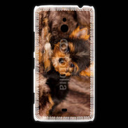 Coque Nokia Lumia 1320 Chiot Yorkshire 10