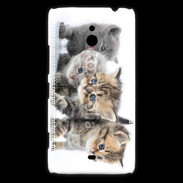 Coque Nokia Lumia 1320 Groupe de chatons 7