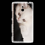 Coque Nokia Lumia 1320 Chat persan blanc 5