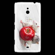 Coque Nokia Lumia 1320 Rats gourmands