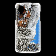 Coque LG Nexus 5 Chalets Grand Bornand