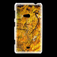 Coque Nokia Lumia 625 Arbres en automne