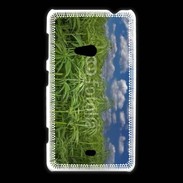 Coque Nokia Lumia 625 Champs de cannabis