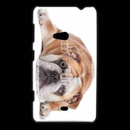 Coque Nokia Lumia 625 Bulldog anglais 2