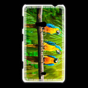 Coque Nokia Lumia 625 Trois perroquets bleu et jaune