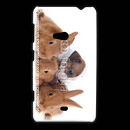 Coque Nokia Lumia 625 Gardien de lapins