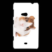 Coque Nokia Lumia 625 Cochon d'inde 2