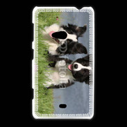 Coque Nokia Lumia 625 Chien Border Collie noir et blanc