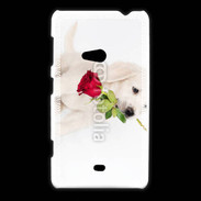 Coque Nokia Lumia 625 Chiot Golden retriever 2