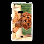 Coque Nokia Lumia 625 Chiot King Charles 2