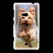 Coque Nokia Lumia 625 Yorkshire terrier 6