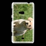Coque Nokia Lumia 625 Mignon petit labrador