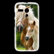 Coque Motorola G Cheval et poulain